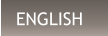 idioma inglés